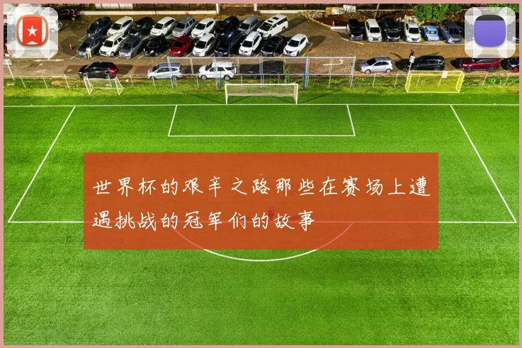 世界杯的艰辛之路那些在赛场上遭遇挑战的冠军们的故事