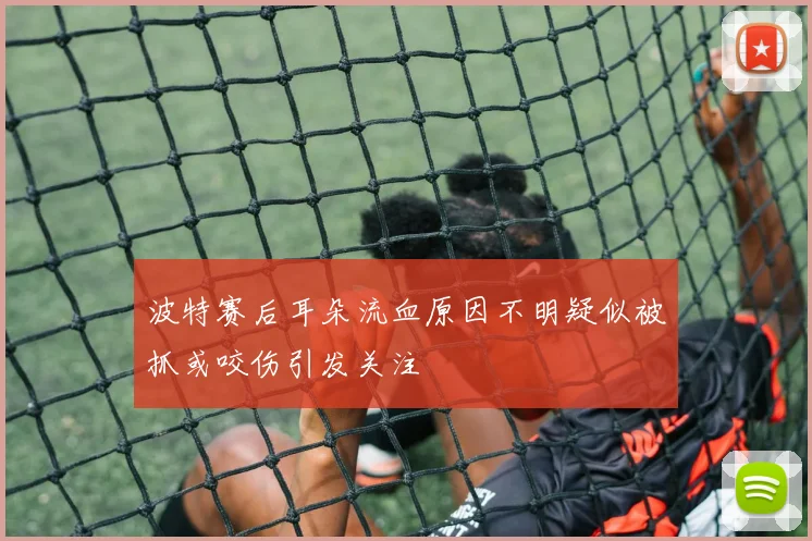 波特赛后耳朵流血原因不明疑似被抓或咬伤引发关注
